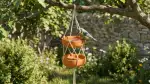 Attirer les Oiseaux : Guide Mangeoire Jardin