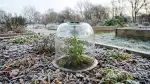 Préparer vos plantes pour l'hiver