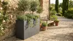 Sublimer Votre Terrasse avec des Pots