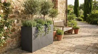 Sublimer Votre Terrasse avec des Pots